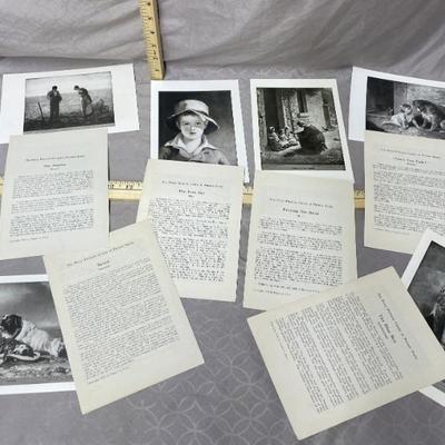 Sale Photo Thumbnail #28