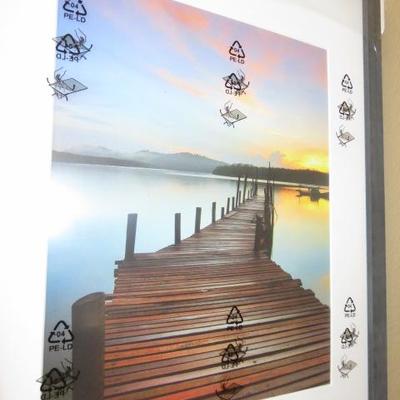 Sale Photo Thumbnail #114