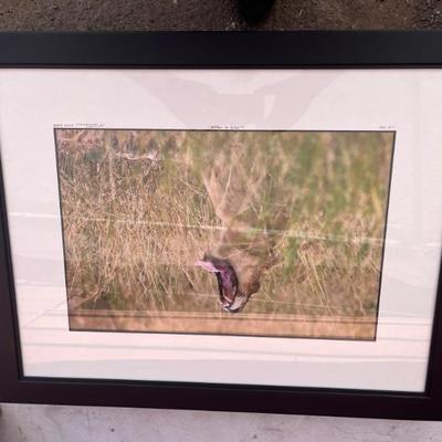 Sale Photo Thumbnail #169