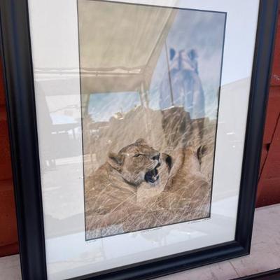 Sale Photo Thumbnail #146