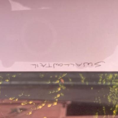 Sale Photo Thumbnail #159