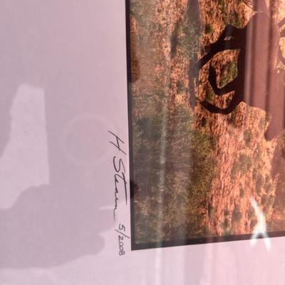 Sale Photo Thumbnail #144