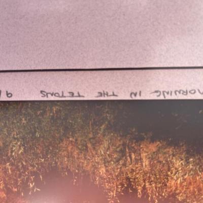 Sale Photo Thumbnail #156