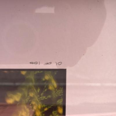 Sale Photo Thumbnail #158