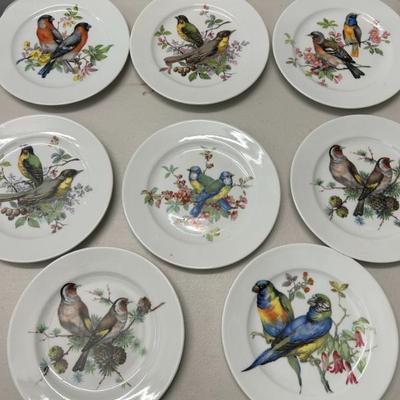 Sale Photo Thumbnail #247: Set of 8 Schumann Arzberg bird plates. Made in Germany. 