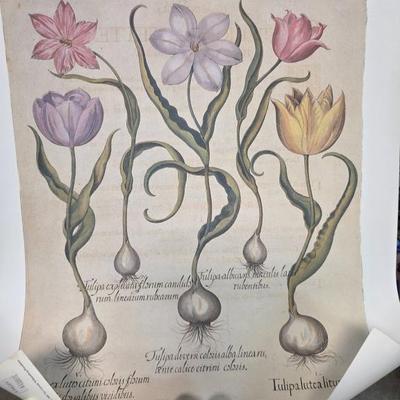 Sale Photo Thumbnail #122