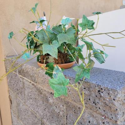 Sale Photo Thumbnail #218