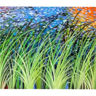 Sale Photo Thumbnail #20