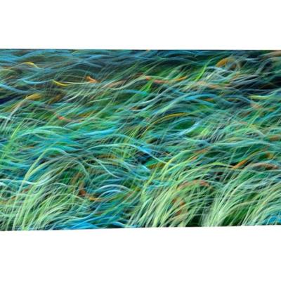 Sale Photo Thumbnail #36