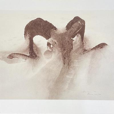 Sale Photo Thumbnail #123