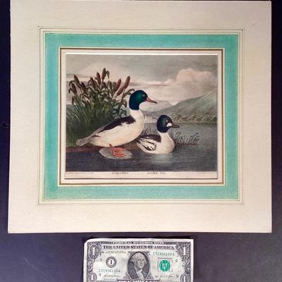 Sale Photo Thumbnail #14