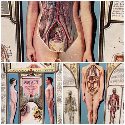 Sale Photo Thumbnail #3