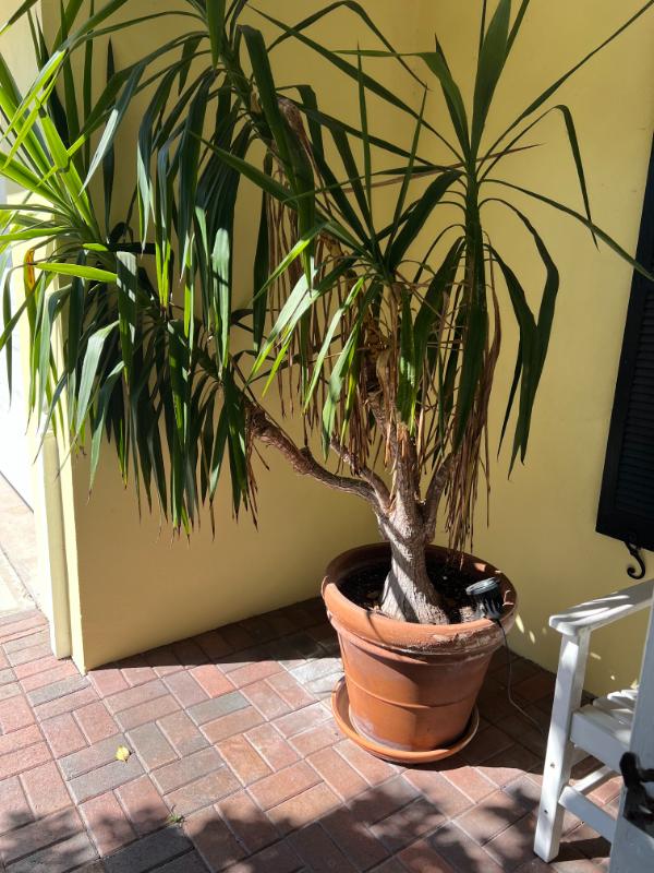 Sale Photo Thumbnail #197