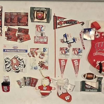 Wisconsin Badgers Christmas (1125)