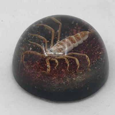 Sale Photo Thumbnail #41