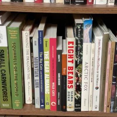 Sale Photo Thumbnail #41