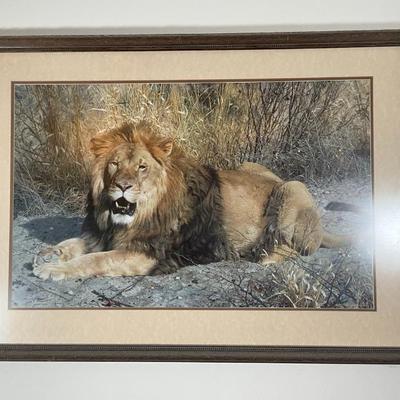 Sale Photo Thumbnail #26