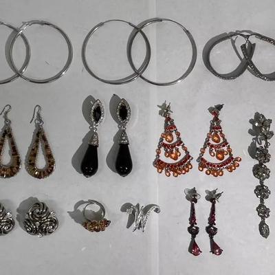 Variety Of Earrings, Brooch, And Ring