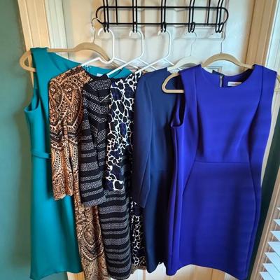 Lot 235: Women’s Dresses Sz 10 ( Calvin Klein & More)
