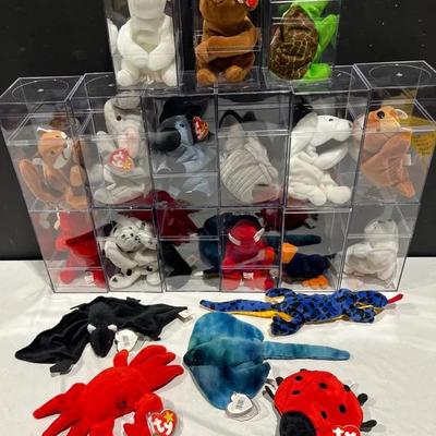 Ty Beanie Baby Collection Most In Display Boxes