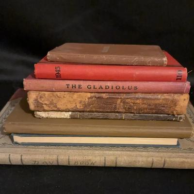 Collection If Antique And Vintage Books And Journals 