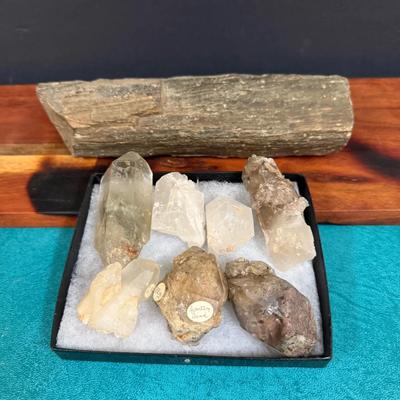 Large, Heavy Piece of Petrified Wood 
(7) Pieces of Quartz Crystals 