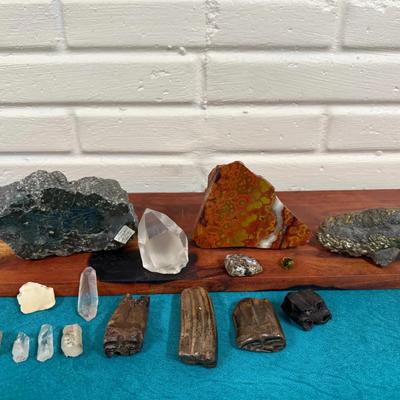 Collection of Materials 
Natural Rock, Crystals, Fossils & Petrified Animal Bone 
