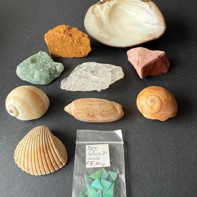 Collection of Individual Rocks & Shells 