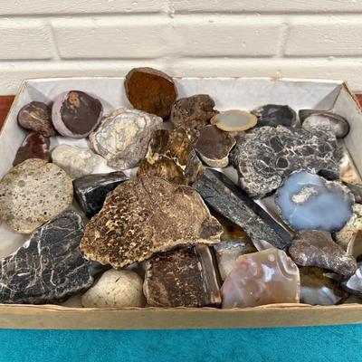 Awesome Collection of a Variety of Rocks and Minerals. 