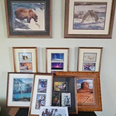 Wildlife & Nature Photography Collection