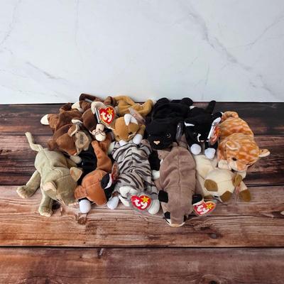 Beanie Baby collection