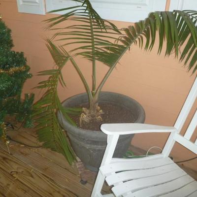 Sale Photo Thumbnail #55