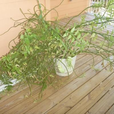 Sale Photo Thumbnail #54