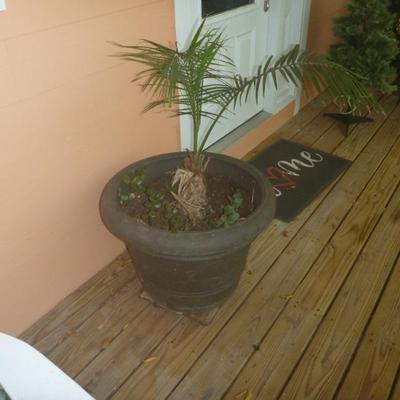 Sale Photo Thumbnail #52