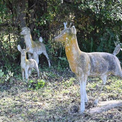 Sale Photo Thumbnail #32