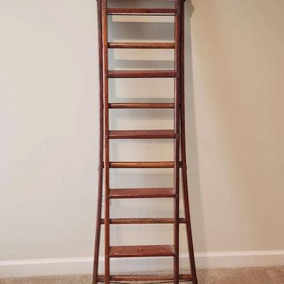 Library Ladder