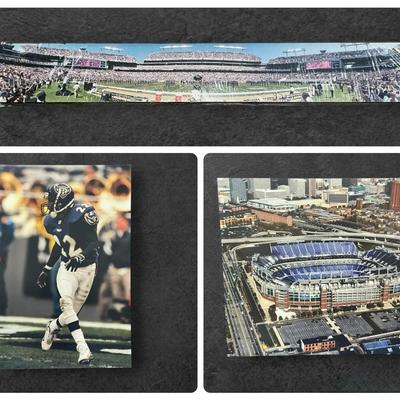 Baltimore Ravens Stadium Panoramic & Print 