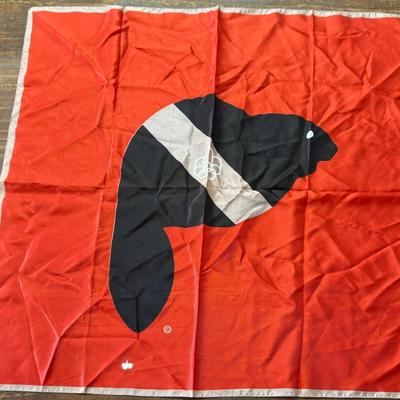 Montrial Canada 1976 Summer Olympics Scarf Amik The Beaver