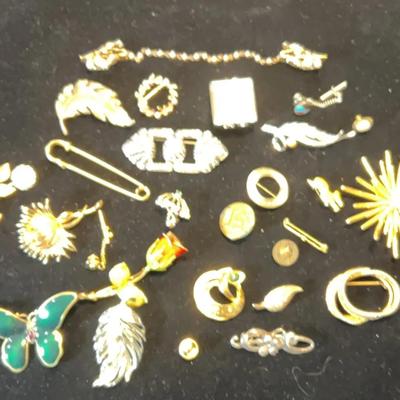 Costume Jewelry - Pins