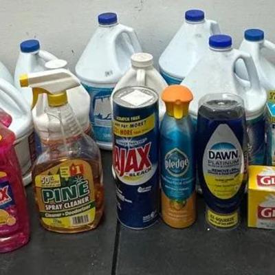 Mystery Cleaning Lot