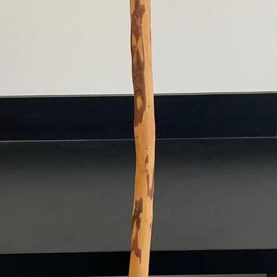 Long Face Dark Walking Stick #2