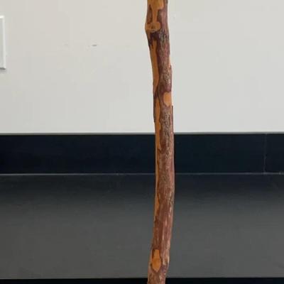 Dual Headed Walking Stick