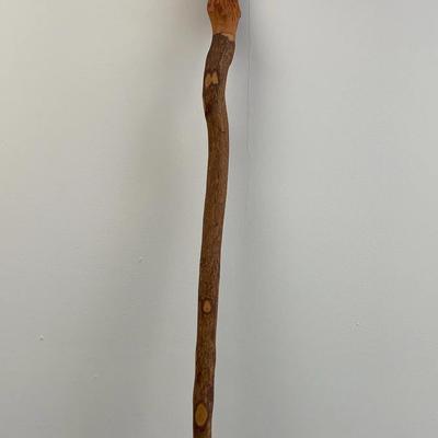 Dark Long Face Walking Stick #2