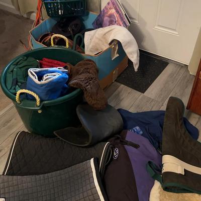 Horse Tack Mystery Lot