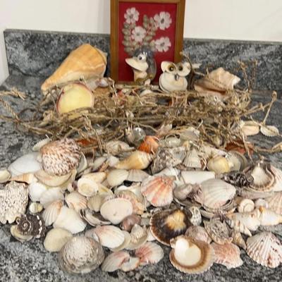 Shells-Figures, Loose, Tied On A Net, Framed Picture