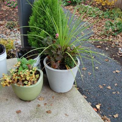 Sale Photo Thumbnail #60