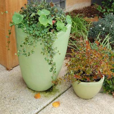 Sale Photo Thumbnail #112