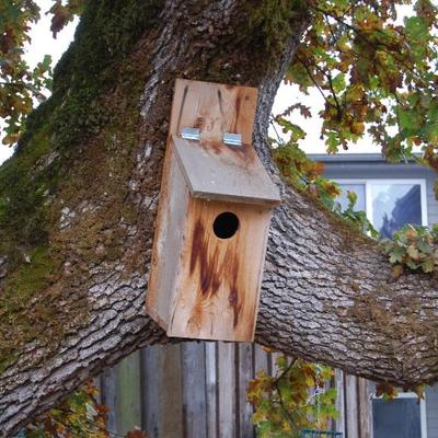 Sale Photo Thumbnail #54