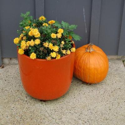 Sale Photo Thumbnail #113