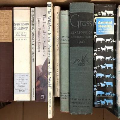 Sale Photo Thumbnail #353